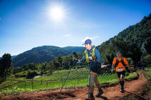 BIB: 
                            <button type="button" onclick="openModal(19183469)" class="btn btn-primary btn-sm float-right btn-popup" data-toggle="modal" data-target=".modal-high-quality">
                        <i class="fas fa-shopping-cart"></i> Add to Cart
                    </button>
                                            <button type="button" onclick="isThisMe(19183469, true)" class="btn btn-success btn-sm float-right btn-popup btn-isme hidden" data-toggle="tooltip" data-placement="bottom" title="นี่คือรูปของคุณใช่ไหม คลิกที่นี่เพื่อเอาเข้าอัลบั้ม">
                        <i class="fas fa-plus"></i> Add to album
                    </button>
                    <button type="button" onclick="isThisMe(19183469, false)" class="btn btn-warning btn-sm float-right btn-popup btn-isnotme hidden">
                        <i class="fas fa-ban"></i> Remove from album
                    </button>